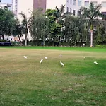 Chinmay Hotel & Resort